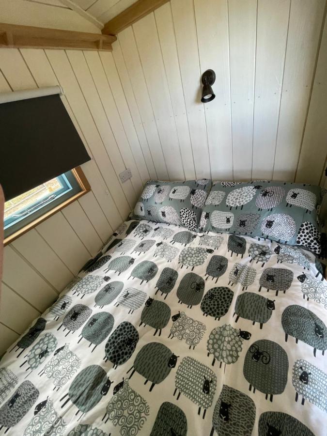 The Shepards Hut Apartment Llwyn-Dafydd Exterior foto